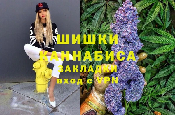 крисы Баксан