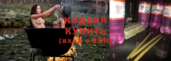 крисы Баксан