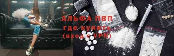 ешки Тайга