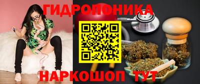 МДПВ Лесосибирск