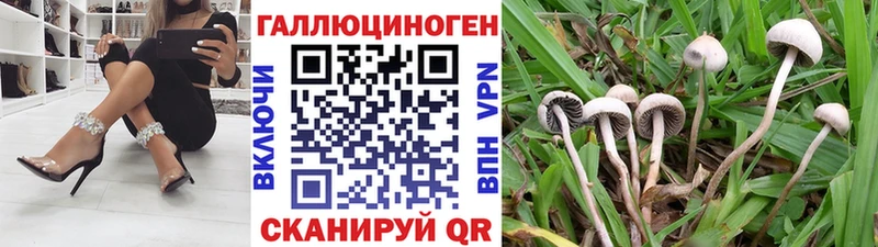 Псилоцибиновые грибы мухоморы  Губаха 