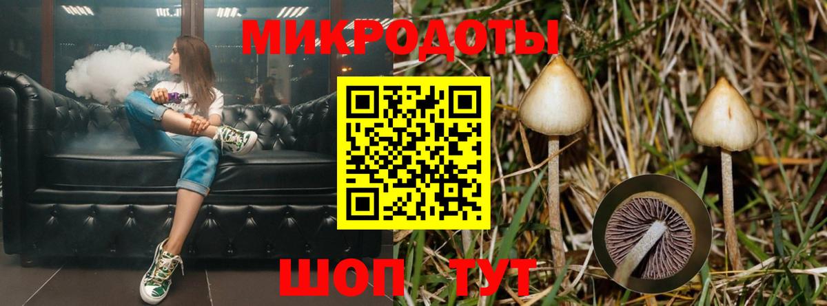 Галлюциногенные грибы GOLDEN TEACHER  Вход с VPN  Губаха 
